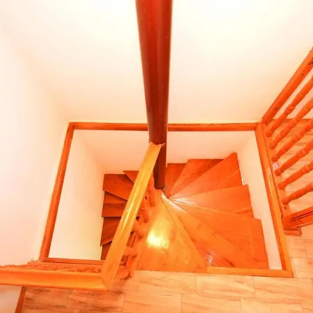 Skeva * 斯塔利格拉德-帕克利尼卡