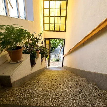 Skeva * 斯塔利格拉德-帕克利尼卡