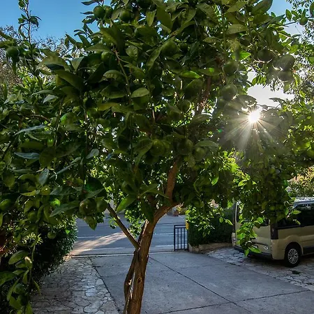 Skeva Starigrad Paklenica